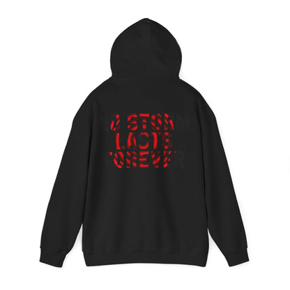 NO STORM LAST FOREVER - Unisex Hoodie